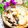 makichihua's cooksnap of when they made 霜降りひらたけと里いもの煮物.