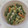 mmameco's cooksnap of when they made きゃべつといんげんの胡麻和え.