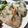 にこまる7's cooksnap of when they made 鮭と大葉のまぜご飯.