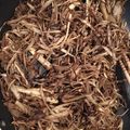 ﾌﾞﾚﾝﾀﾞ's cooksnap of when they made 体の中から綺麗になれるごぼう茶.