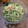 わにか's cooksnap of when they made もやし&かいわれ大根の簡単中華サラダ♪.