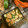 仁木楼図's cooksnap of when they made お店の味！エビとホタテのアヒージョ.