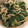 ♡37♡'s cooksnap of when they made 簡単♡めんつゆで！ほうれん草の胡麻和え.