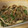 クック5IE74F☆'s cooksnap of when they made 簡単♡ピーマンとちくわのきんぴら.
