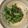 橙食堂's cooksnap of when they made 箸が止まらない！ 生春菊のライムサラダ.