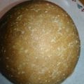 かおりのさと's cooksnap of when they made ふわふわパン(基本パン生地)　卵無し.
