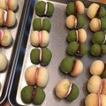 めいMom's cooksnap of when they made バーチディダーマ〜抹茶〜.
