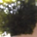 ma___111's cooksnap of when they made やみつき！韓国風冷奴.