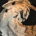 カモガワ's cooksnap of when they made 離乳食 鶏レバー 簡単下ごしらえ 冷凍.