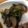 クック6DVYAK☆'s cooksnap of when they made 10分で副菜！なすとピーマンの味噌炒め.
