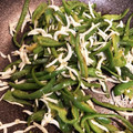 ﾋﾒｺ's cooksnap of when they made 簡単！旨っ！ピーマンのしらす炒め.