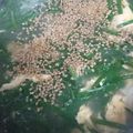 リーメ's cooksnap of when they made ポカポカ♡中華風ニラ玉とろみスープ.