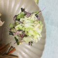 あやどらどら's cooksnap of when they made キャベツとツナの旨塩サラダ【作り置き】.