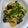 nyangomama's cooksnap of when they made 簡単！豆苗と卵の炒め物.