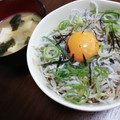 クックBU7I6A☆'s cooksnap of when they made シンプルだけど旨い！釜揚げしらす丼.