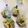クックNCNVLD☆'s cooksnap of when they made 絶品かぼちゃのマフィン♪.