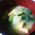 Yuuya_mama's cooksnap of when they made 白菜と隼人ウリの味噌汁.
