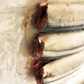 クックOZNA86☆'s cooksnap of when they made 誰でも簡単キレイ☆さんま下処理.