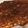 ふじはらみほ's cooksnap of when they made 簡単！ほくほくさつまいもケーキ♪.