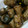 ふぁんたにゃん's cooksnap of when they made ごぼうの考えが変わる！　ごぼうのコンフィ.