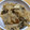 やーしー's cooksnap of when they made ■簡単！きのこたっぷり炊き込みごはん.