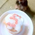 ∞なっちょん∞'s cooksnap of when they made 簡単に♡犬用ケーキ.