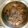 クック66JEF0☆'s cooksnap of when they made コッコーヴァン　鶏肉の赤ワイン煮込み.