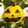 ♡maickey♡'s cooksnap of when they made 【ハロウィン】ジャックオランタン.