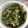 ばなちゃん666's cooksnap of when they made ご飯がススむ！春ピーマンの甘みそ卵とじ.