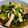 クック64OY6U☆'s cooksnap of when they made 簡単 スルメイカと小松菜と油揚げの煮物.