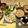 fjkmyc's cooksnap of when they made 簡単！黄金比率☆絶品松茸ご飯♪.