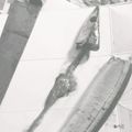 ねここfm's cooksnap of when they made 1.2.3で簡単な★さんまの下処理方法★.