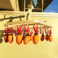 ハルママ0719's cooksnap of when they made ピンチハンガーで手作り干し柿☆.