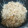 ユキぽっちん's cooksnap of when they made 簡単♪舞茸とツナの炊き込みご飯.