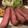 AOAOshark's cooksnap of when they made かぶりつけ。1ポンドステーキ！.