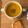 shiirao's cooksnap of when they made 簡単♪かぼちゃのポタージュ.