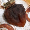 ねこだらけ7's cooksnap of when they made 干し柿の作り方.