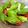 クックUYYGJQ☆'s cooksnap of when they made 切ってのせるだけ！カプレーゼ サラダ.