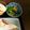 さくら1128's cooksnap of when they made 超簡単☆レンチンでアスパラガスのお浸し♬.
