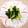 metabo3号's cooksnap of when they made ターサイの花椒炒め.