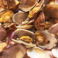 クック4J2FJV☆'s cooksnap of when they made あさりの酒蒸し.