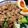 かに丸☆'s cooksnap of when they made ゆで卵のついでに＊味玉そぼろ丼.