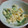 クックMS3SQ4☆'s cooksnap of when they made チンゲンサイ と 卵 と ツナ サラダ♪.