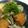 ☆shizu's cooksnap of when they made 厚揚げと舞茸の味噌ダレ炒め.