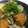 ☆shizu's cooksnap of when they made 厚揚げと舞茸の味噌ダレ炒め.