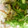もぐ茶's cooksnap of when they made 簡単 パエリア もどき.