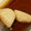 ヨシヨッシー's cooksnap of when they made 里芋の煮っころがし.