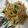 クックP6FA7E☆'s cooksnap of when they made 野菜たっぷりオイスターソース炒め.