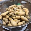 kinako10's cooksnap of when they made 生落花生の茹で方.