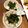 暴走インコ's cooksnap of when they made 止まらない♡豆苗をモリモリ食べるサラダ.